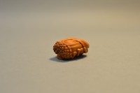 http://www.arturmoser.de/files/gimgs/th-30_Brummer, 2015, Buchsbaumholz, 3,5 x 2,5 x 1,8 cm.jpg